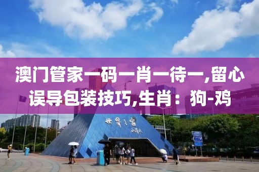 澳门管家一码一肖一待一,留心误导包装技巧,生肖：狗-鸡