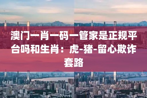 澳门一肖一码一管家是正规平台吗和生肖：虎-猪-留心欺诈套路
